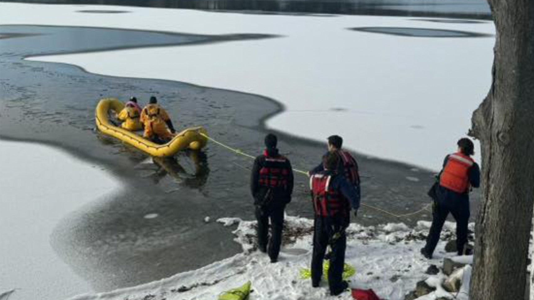 dog rescued from icy lake