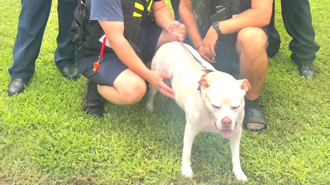 Dog Rescued From Georgia's Chattahoochee River