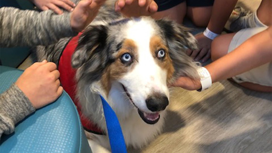 A dog named Donovan. 