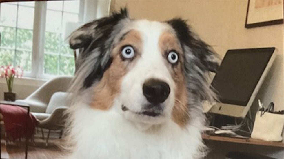 Weather Buddies: 'Donovan'