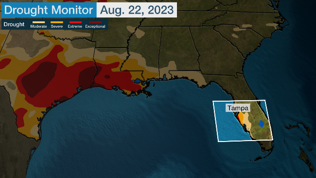 drought-flash-FL-weird-22aug23.png