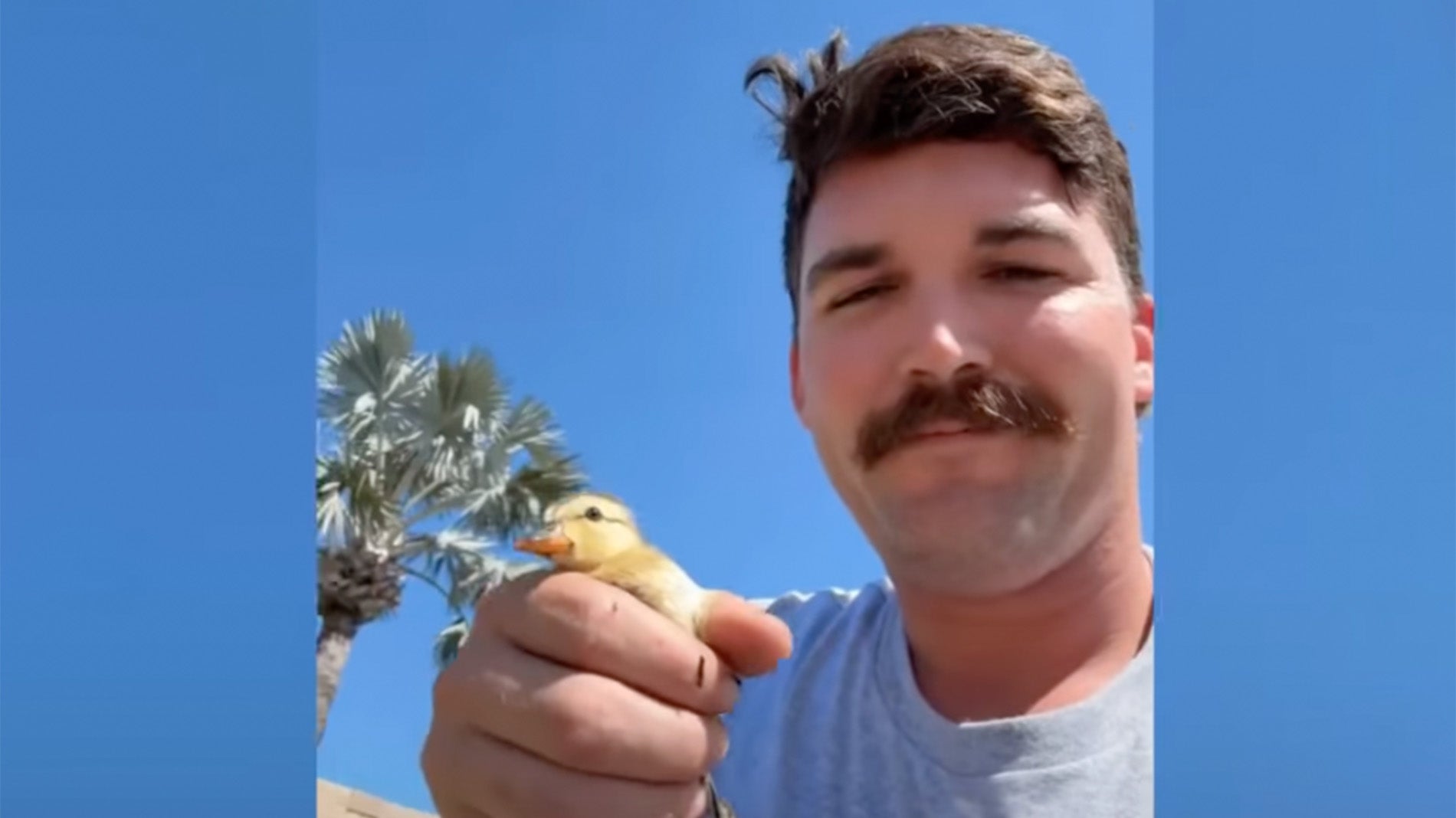 A man holding a duckling. 