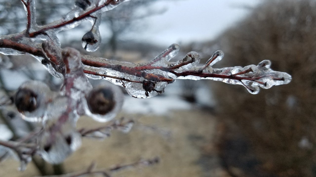 Winter Storm Oliver Brings DaysLong Icy Siege to Plains; Plane Skids