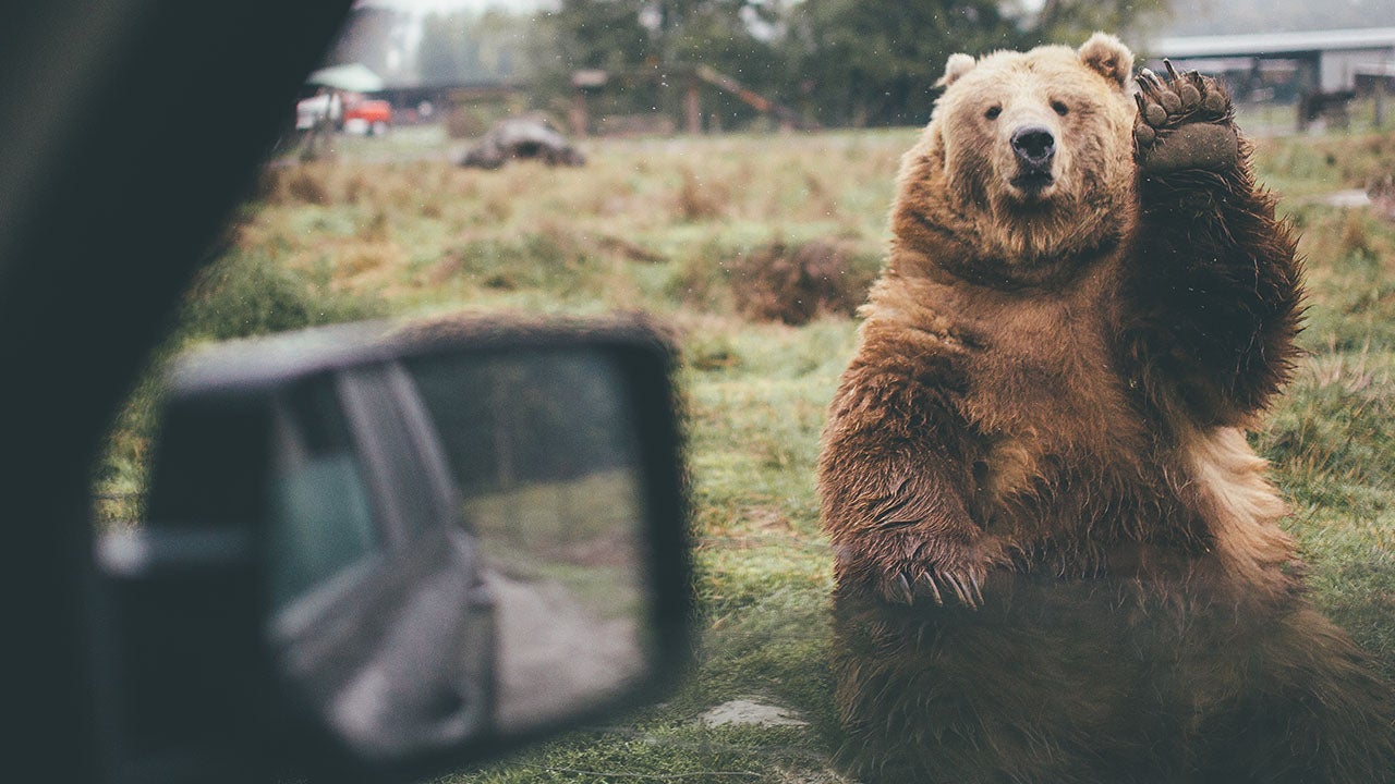 PHOTOS: Capturing Nature and Adventure in the Pacific Northwest