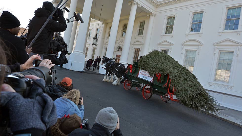 Obama Lights White House Christmas Tree 