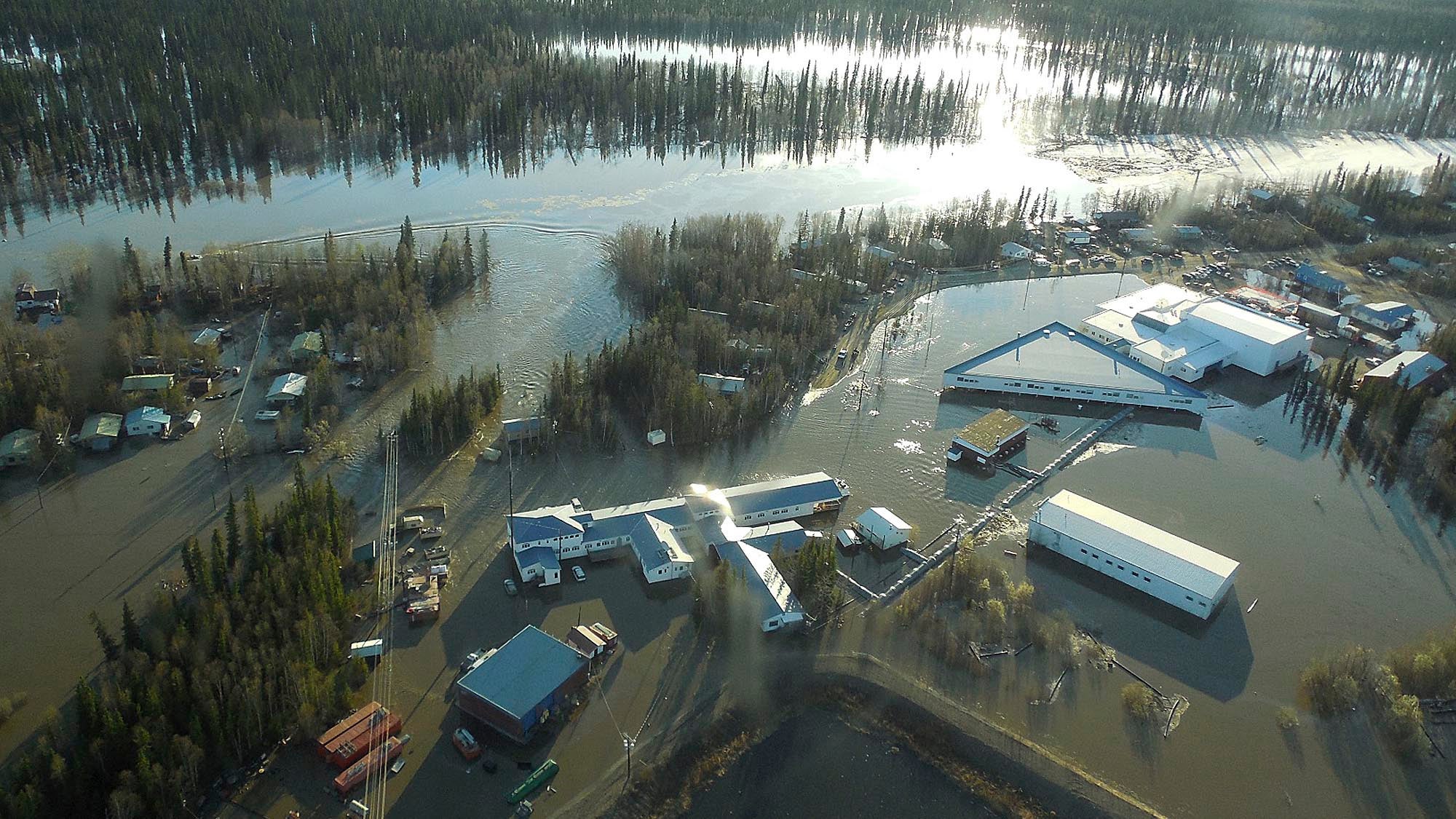 Bears, Bad Meat Among Issues Faced by Flooded Alaska Town The Weather
