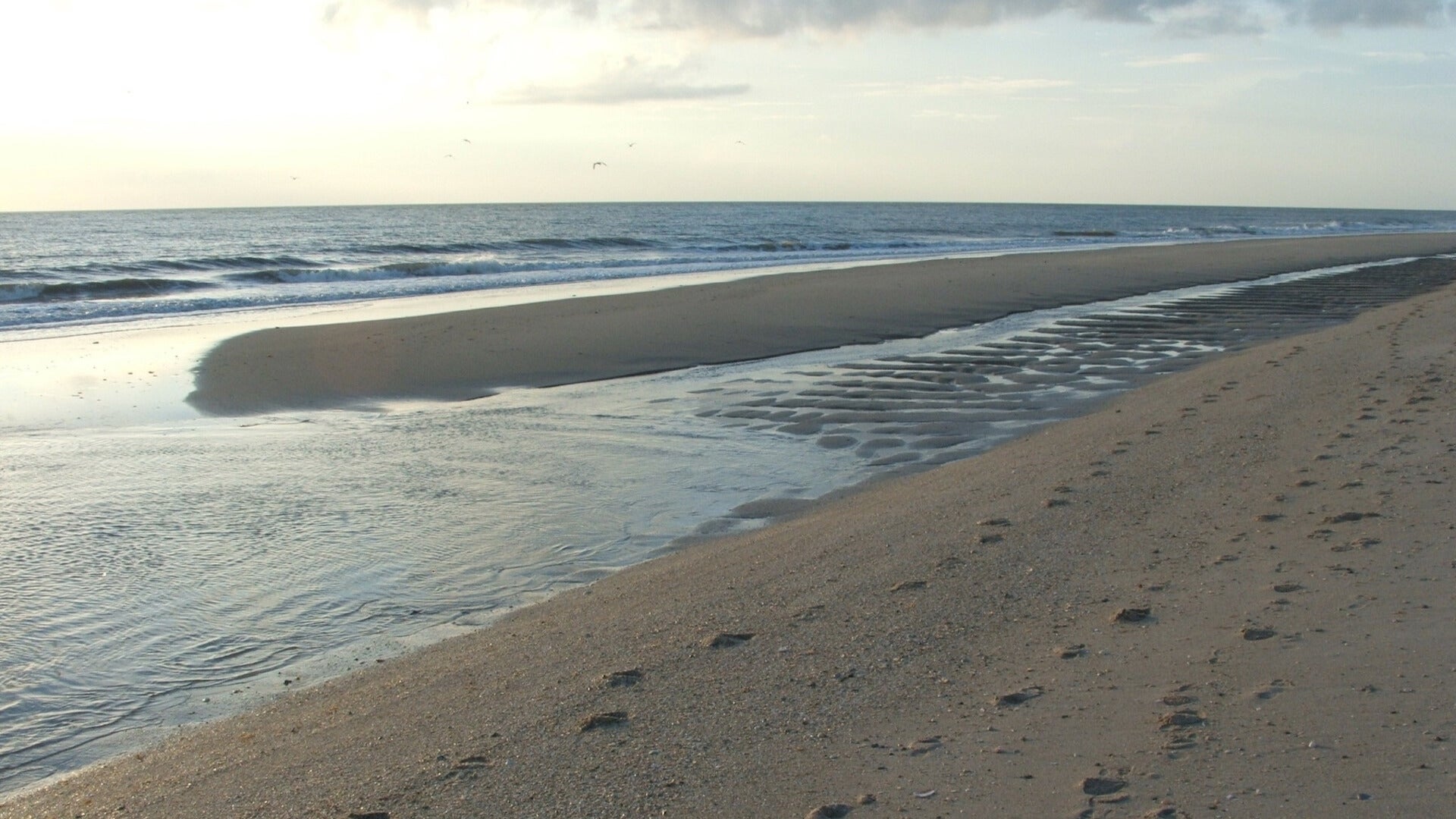 Weather Words: Tide