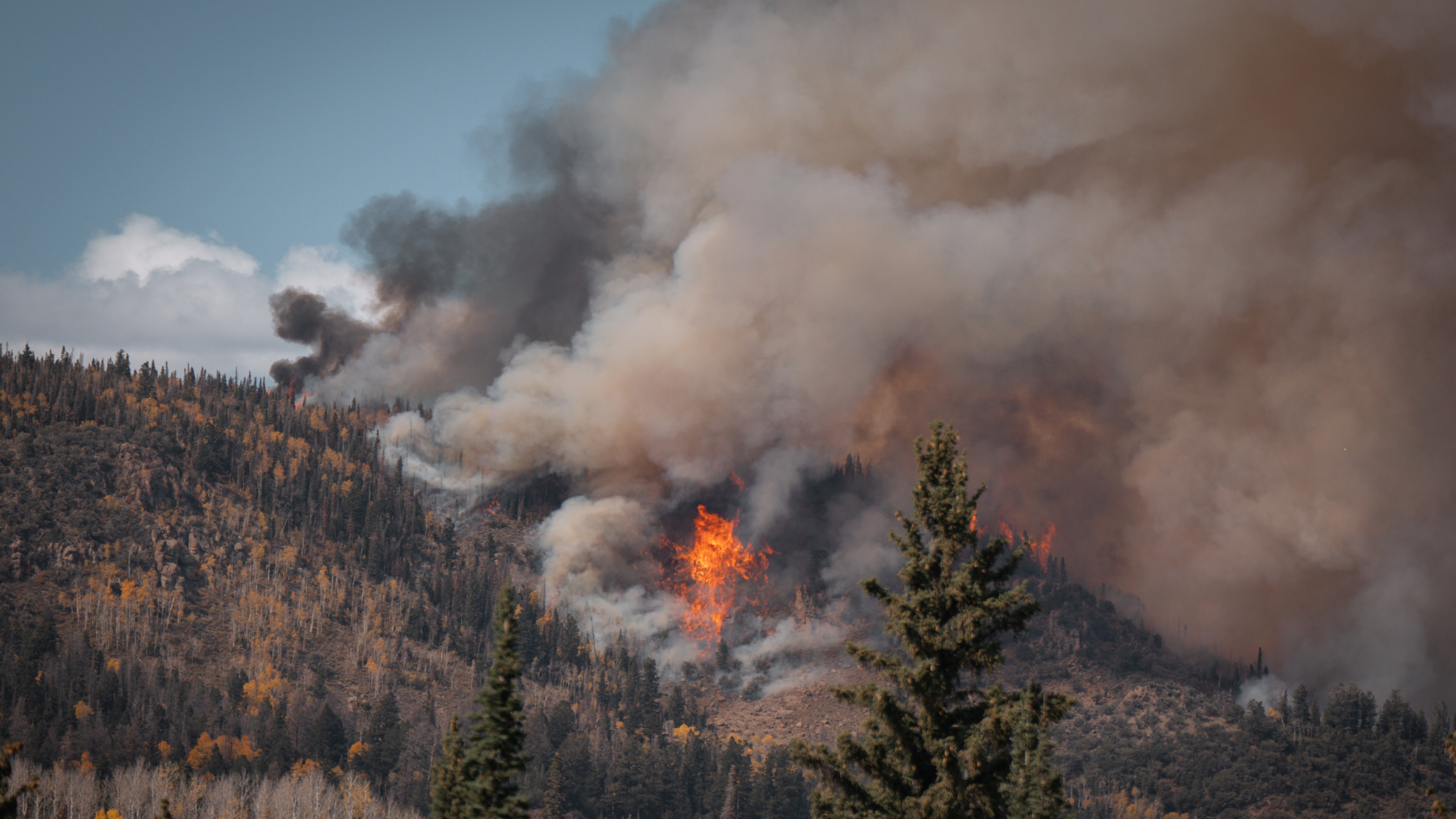 Weather Words: Zombie Fire