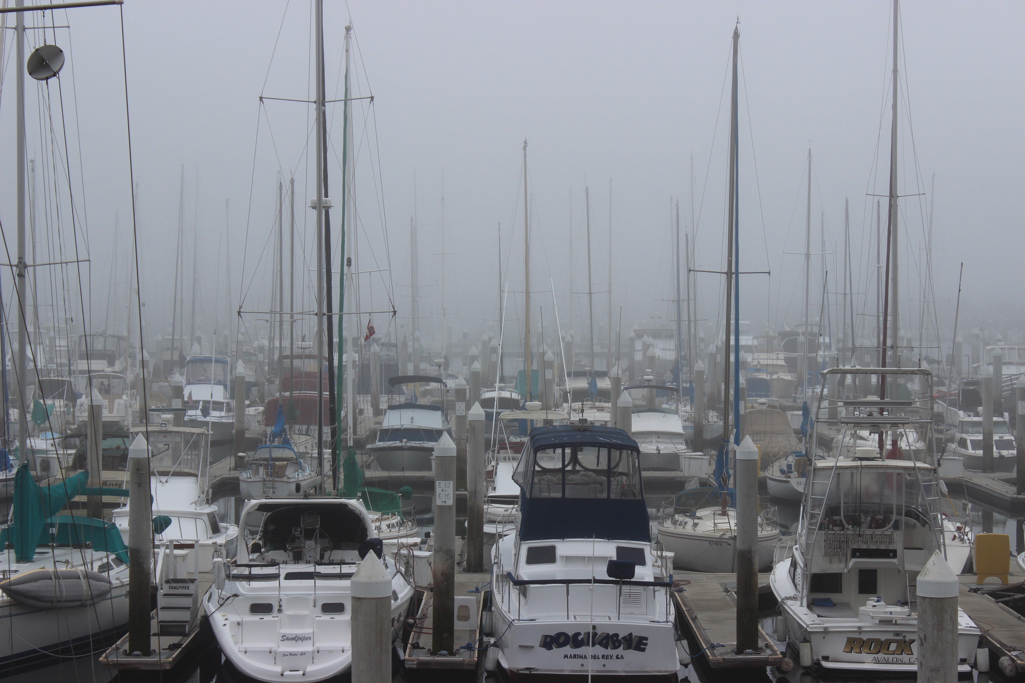 Did Summer Forget L.A.?