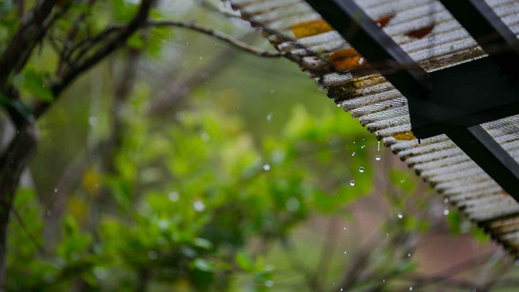 Weather Words: Easing-Drops | Weather.com