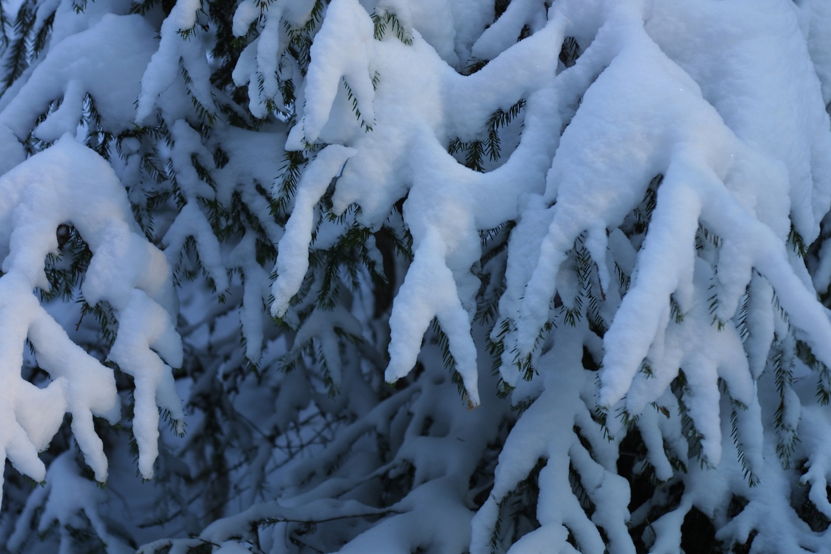 First Snow Blankets Parts of New Jersey, Pennsylvania, Delaware and New York