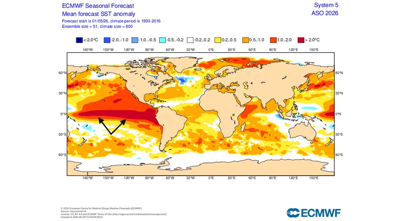 ECMWF El Niño forecast 2026