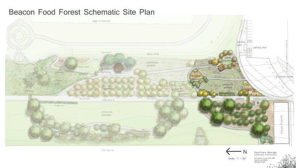 Coming Soon: A Forest You Can Eat