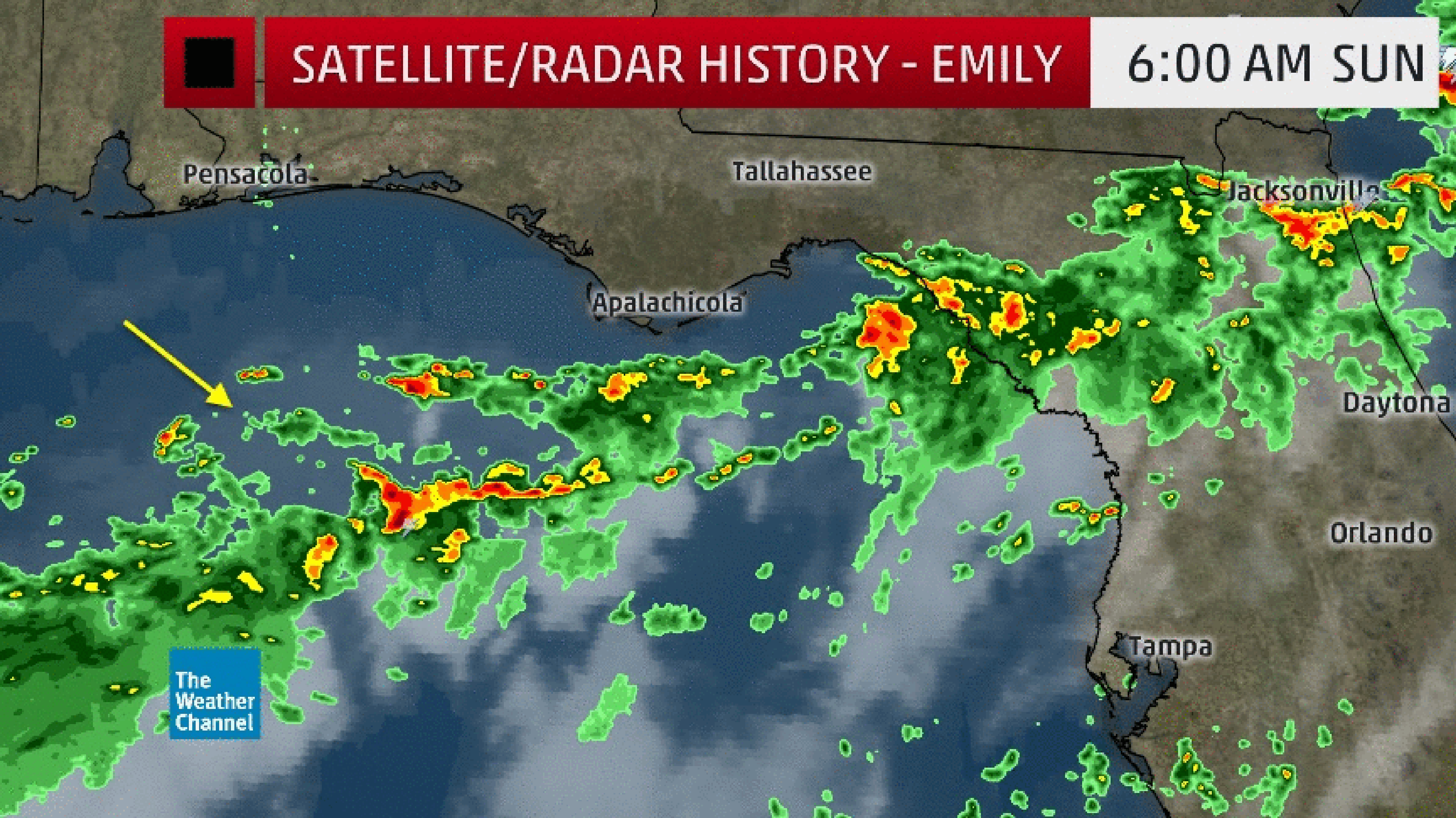 Radar, satellite, cloud-to-ground lightning history of what became Tropical Storm Emily in the Gulf of Mexico from July 30-31, 2017.