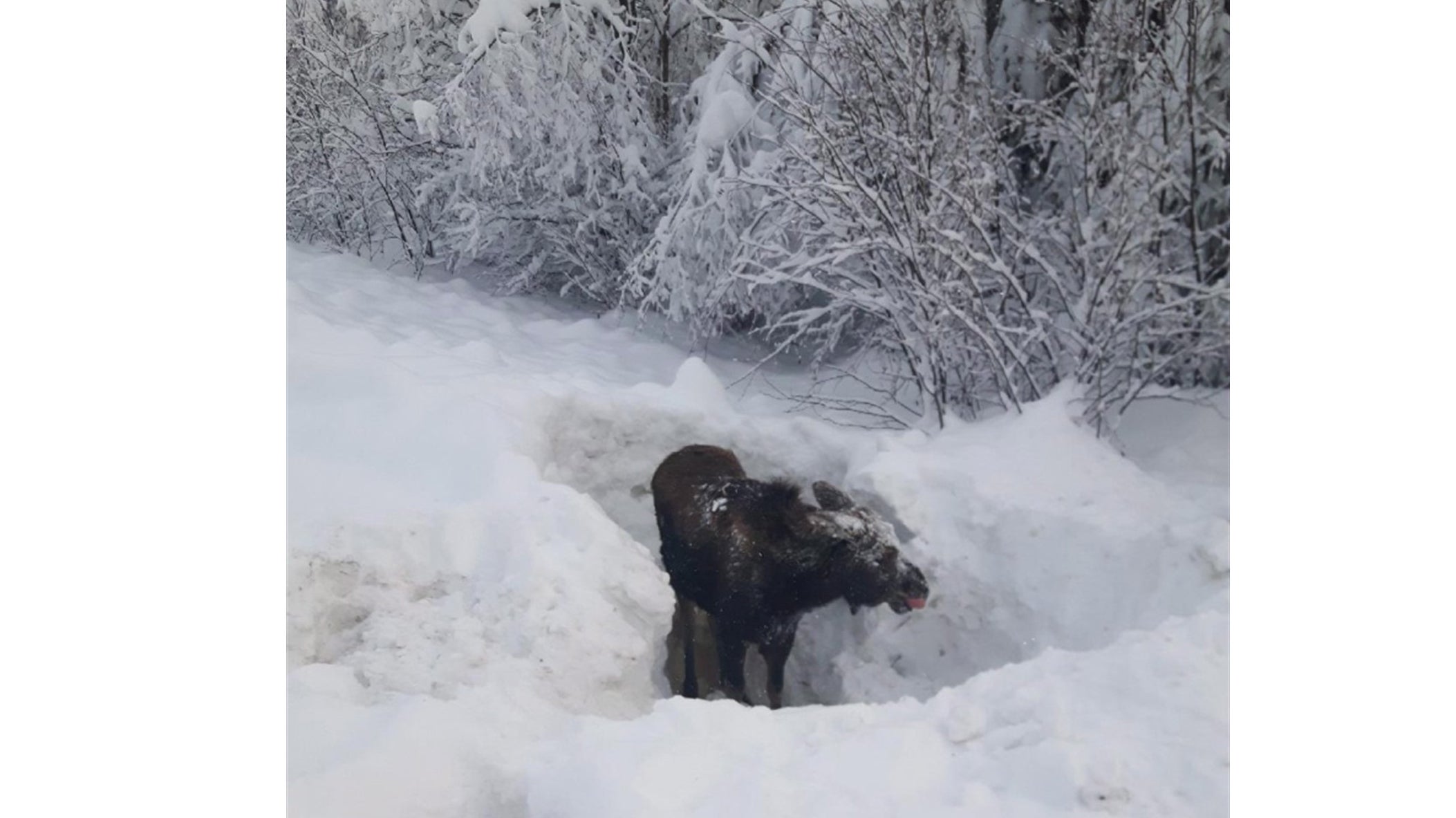 Gilford, NH 10Day Weather Forecast The Weather Channel