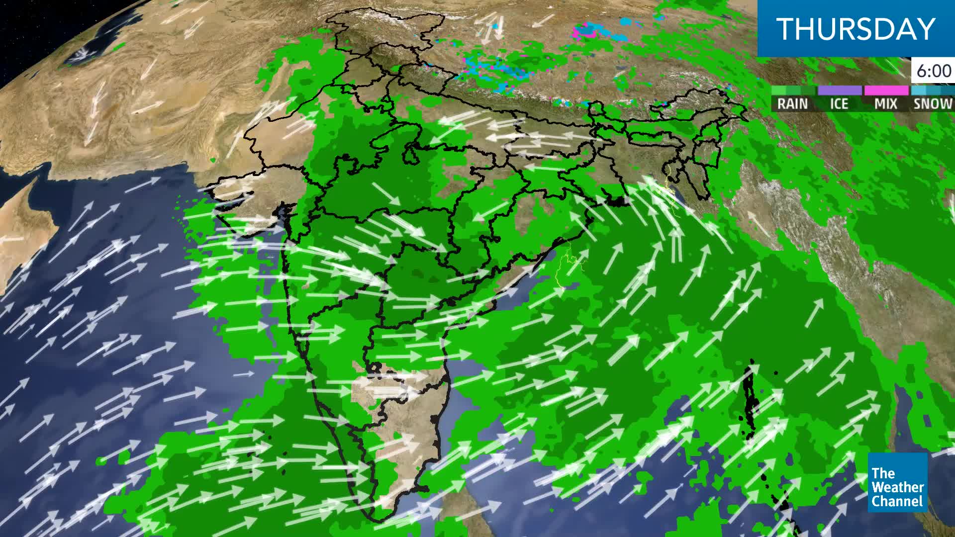 Kerala Set to Get 5060 mm Daytime Rain; Surat, Bharuch, Amreli in