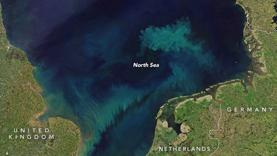 La primavera enciende el motor de la vida marina