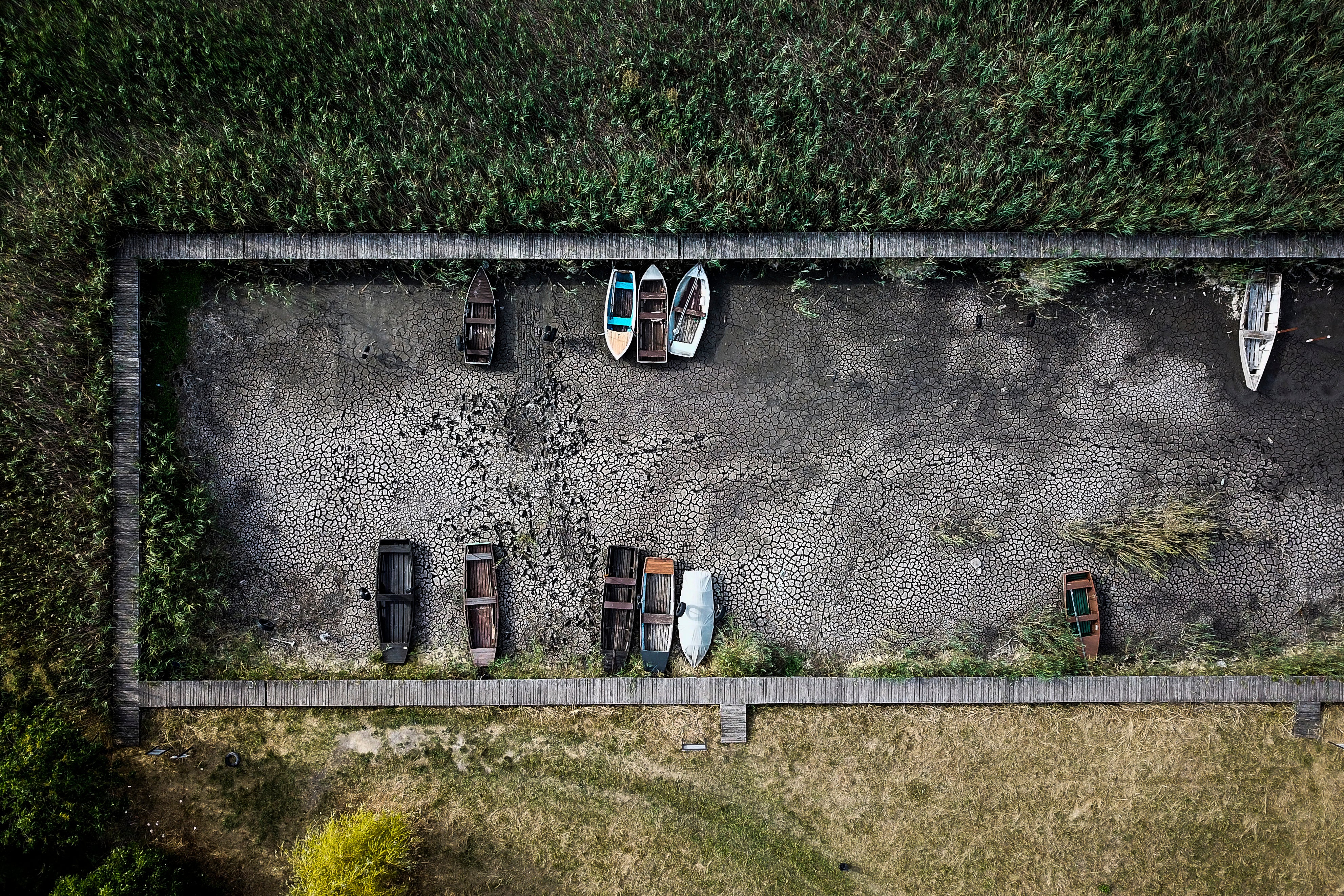 Drying Riverbeds And Dying Crops: Photos Of Drought And Extreme Heat In Europe