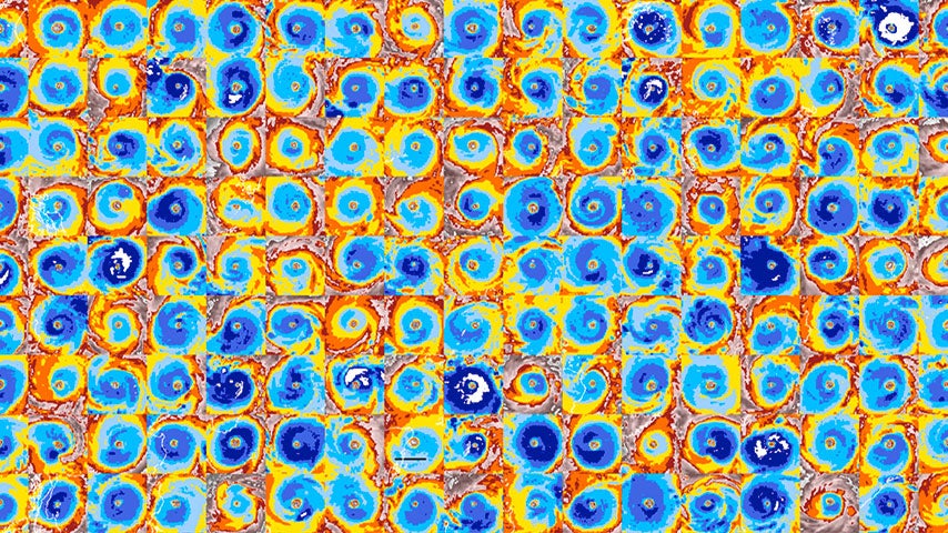 What a Study of Over 30 Years of Hurricane Eye Images Tells Us