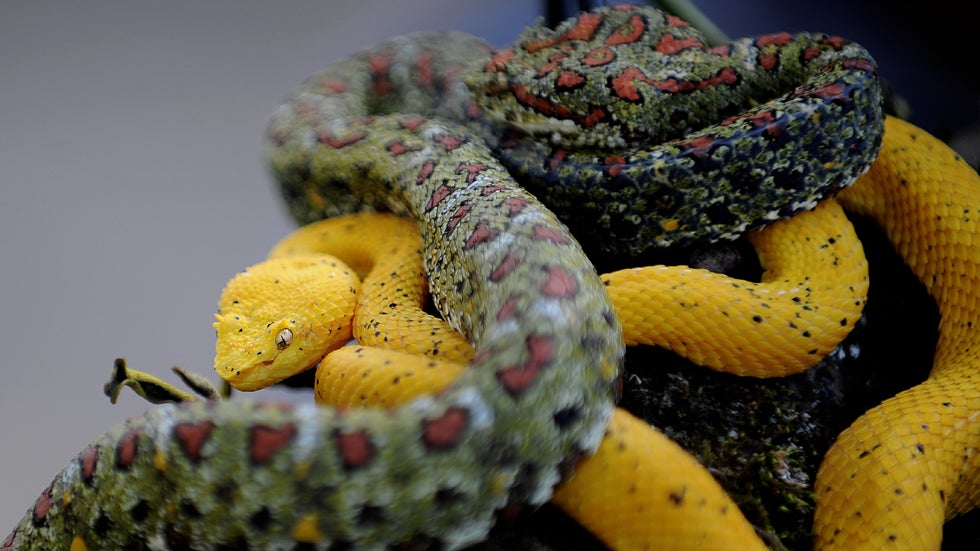 10 Wild Wilderness Careers (PHOTOS)