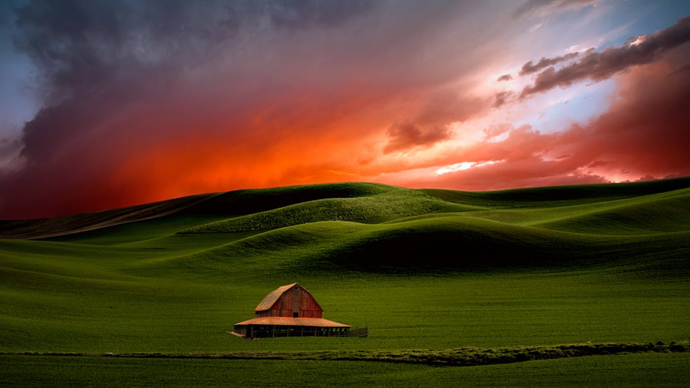 Farmland in the American Northwest Comes Alive in Lisa Wood's Photos