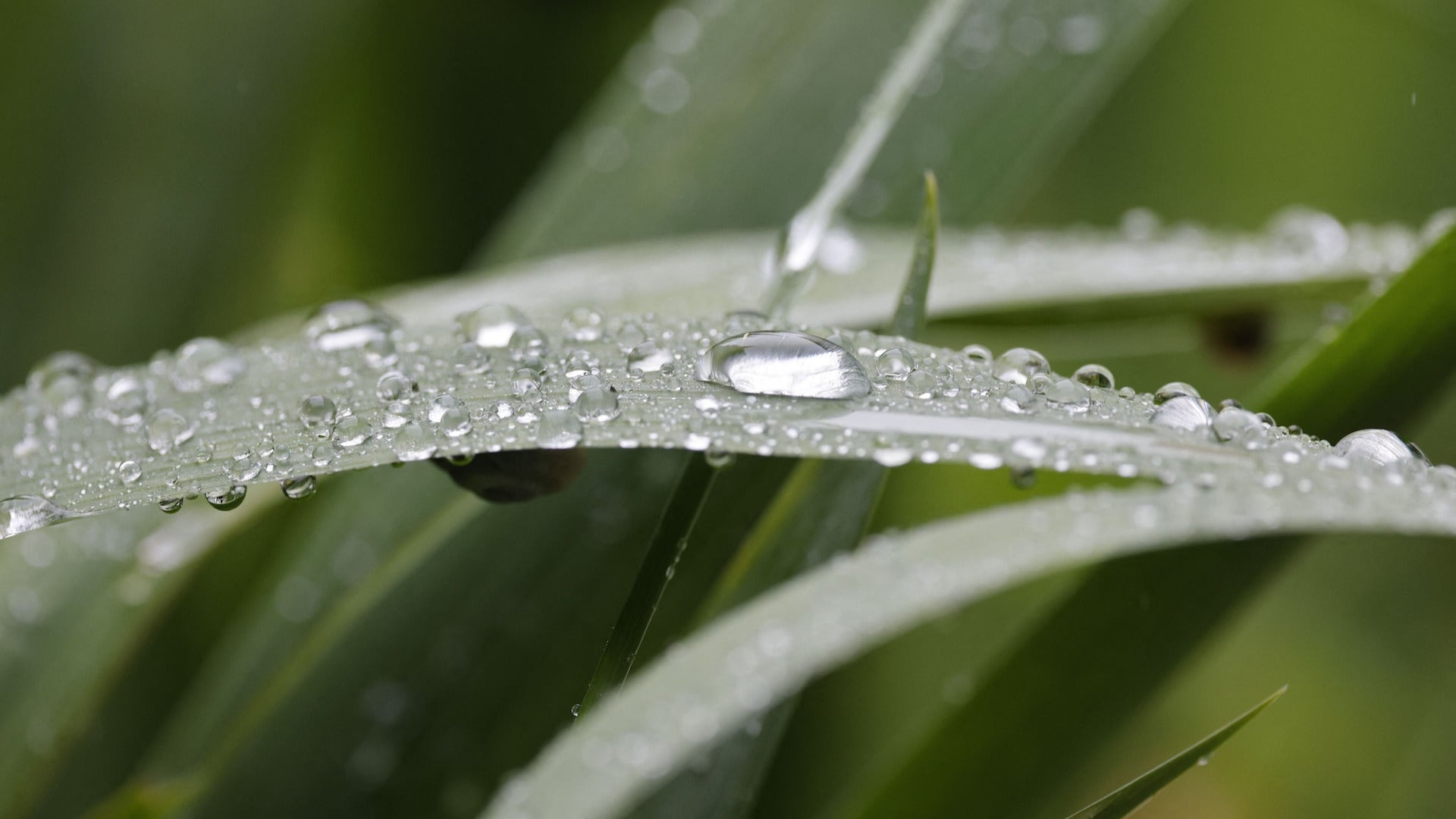 Weather Whiz: May 3