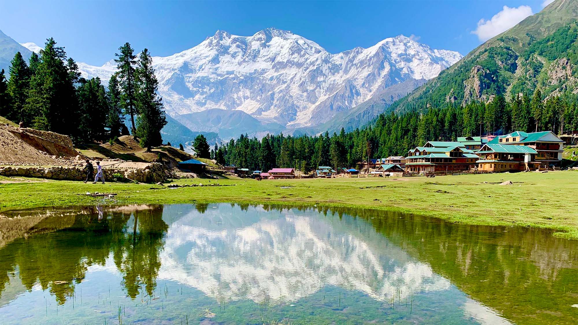 meadows and mountains