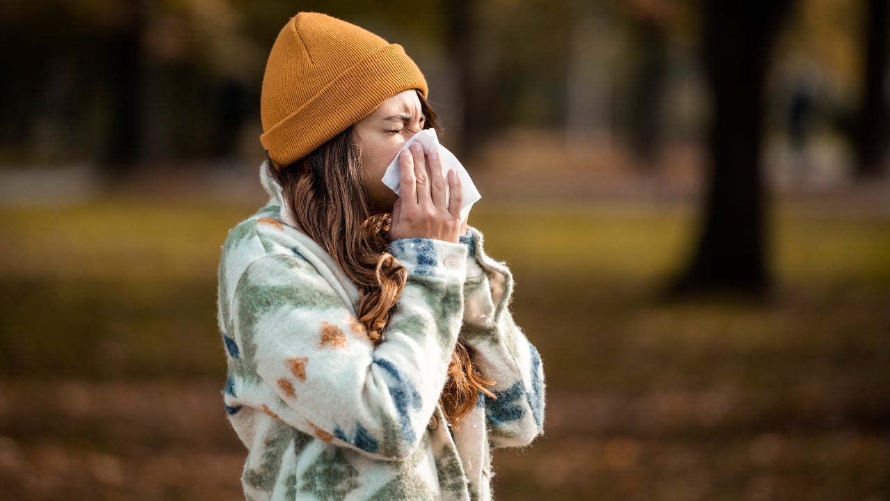 Common Fall Allergens & How To Fight Them