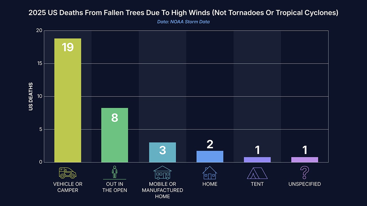falling tree deaths winds US 2025
