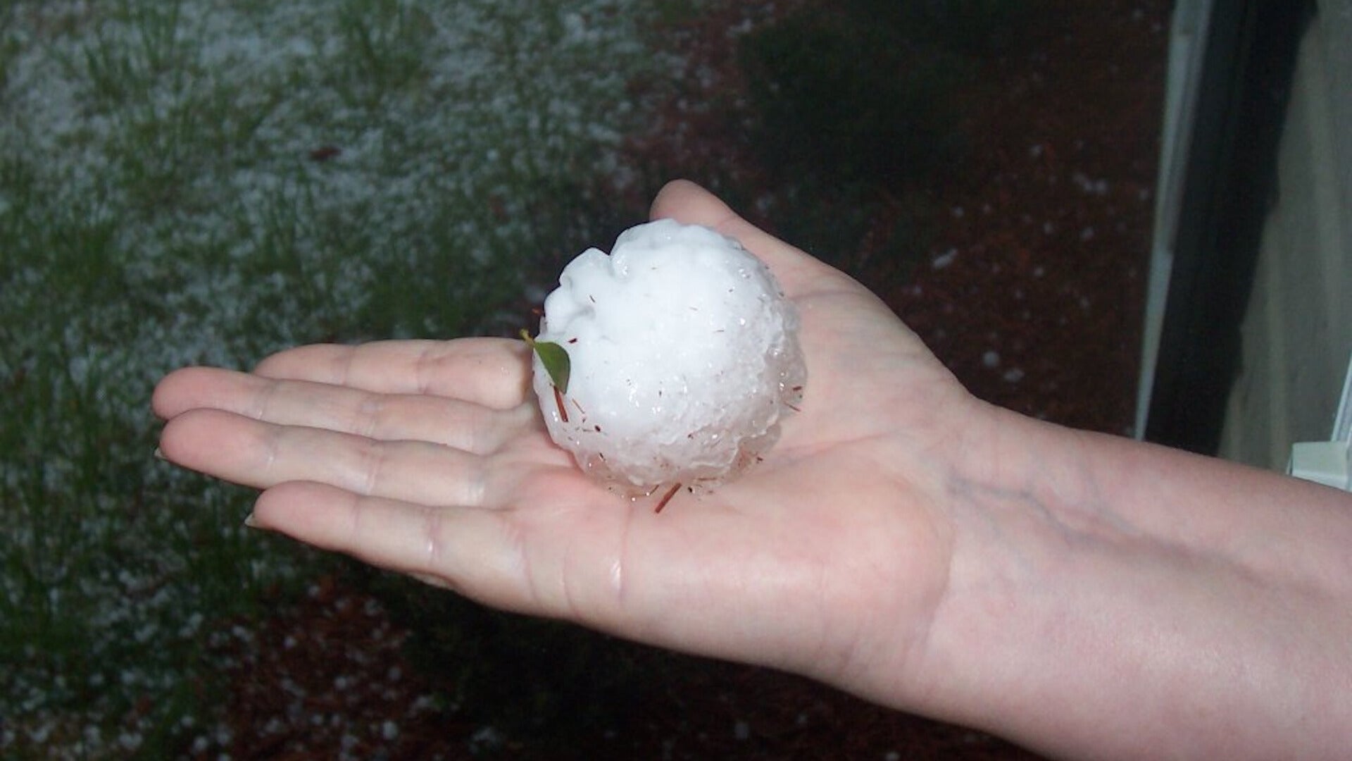 Weather Words: Hailpad