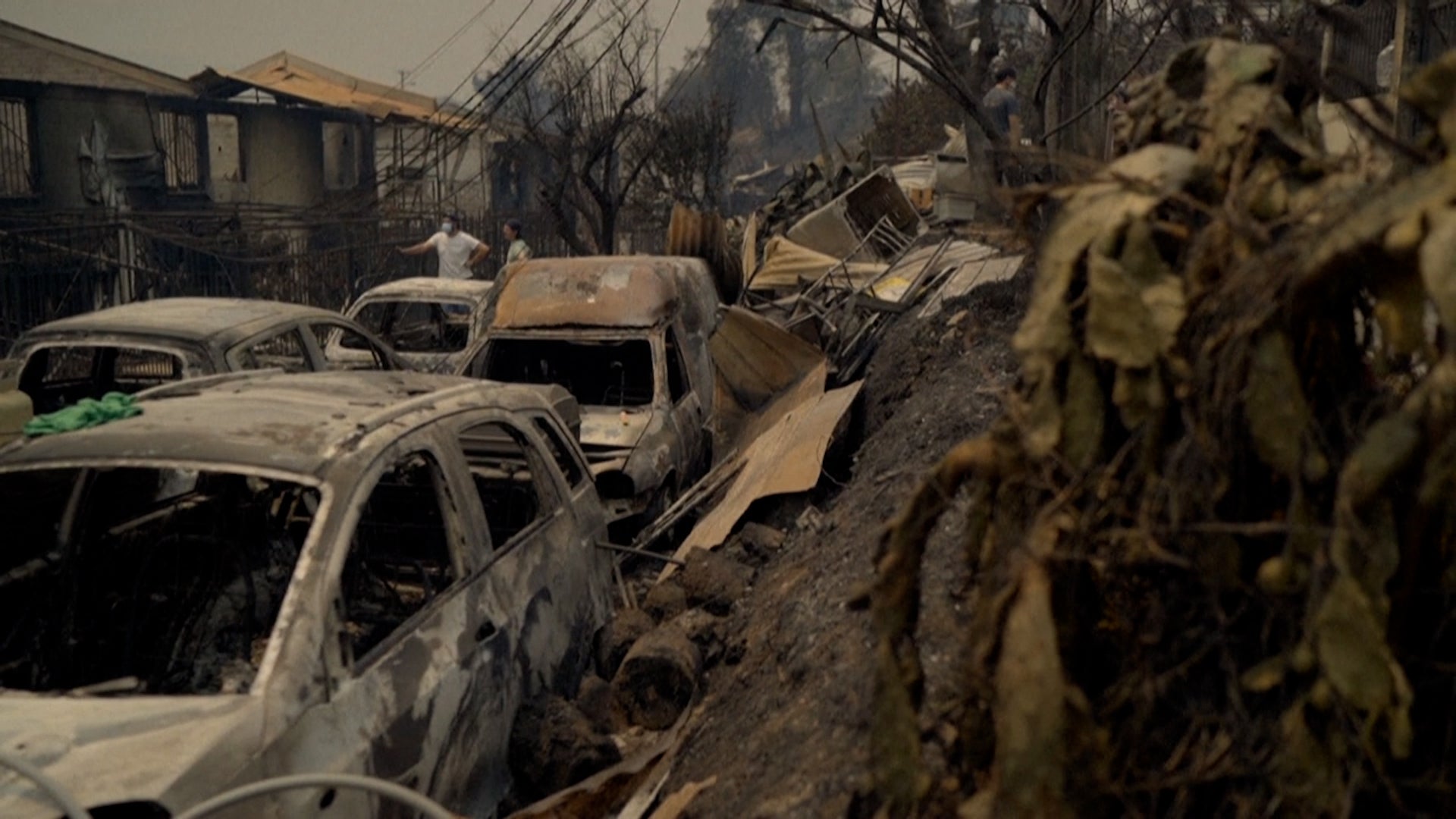 Beyond Climate Change: What&rsquo;s Driving Latin American Fires?