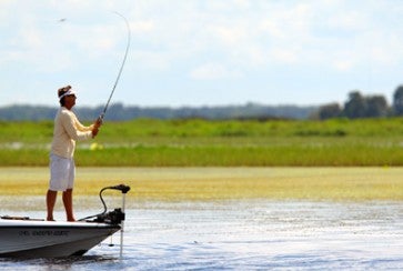 Pro Patterns: Bernie Schultz Combs the Grass 