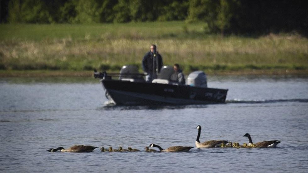 Walleye Waltz on Minnesota-Ontario Border 