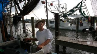Gulf Shrimpers Still Reel from Oil Spill