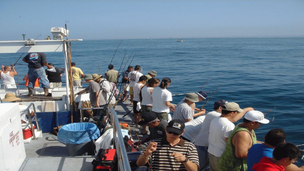 Resolved: I Will Join a Bass Club