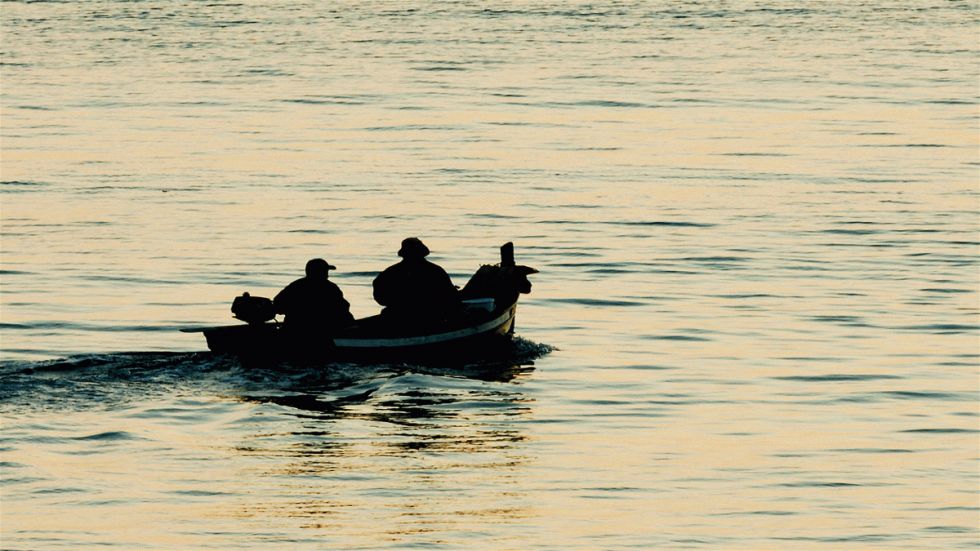 Mark Davis' One-Two Spring Punch