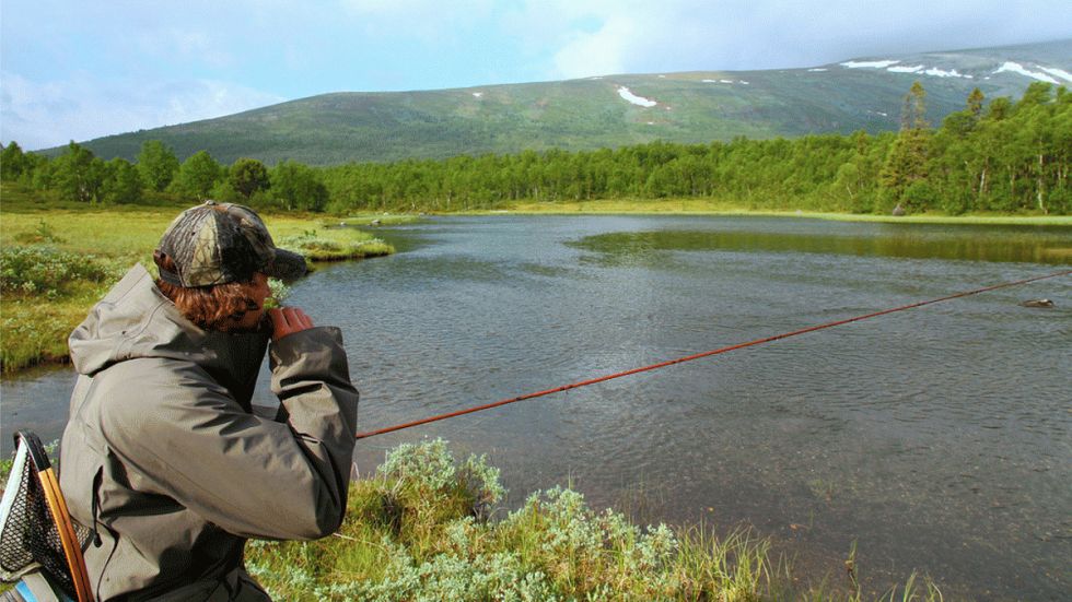 Pre-Fishing with Purpose