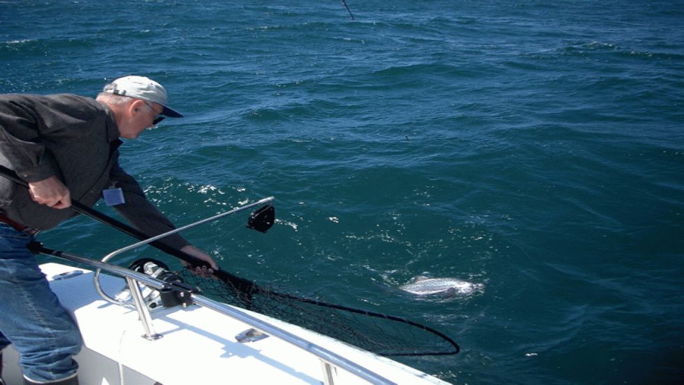 Resolved: I Will Learn a New Technique!