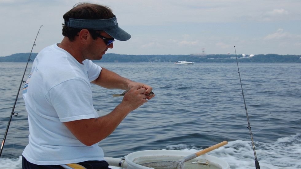 B.A.S.S. Signature Series: Alton Jones on Stickworms