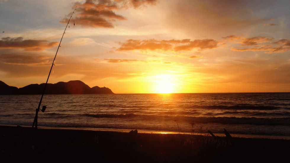 Offbeat Tactics for Summer Bass