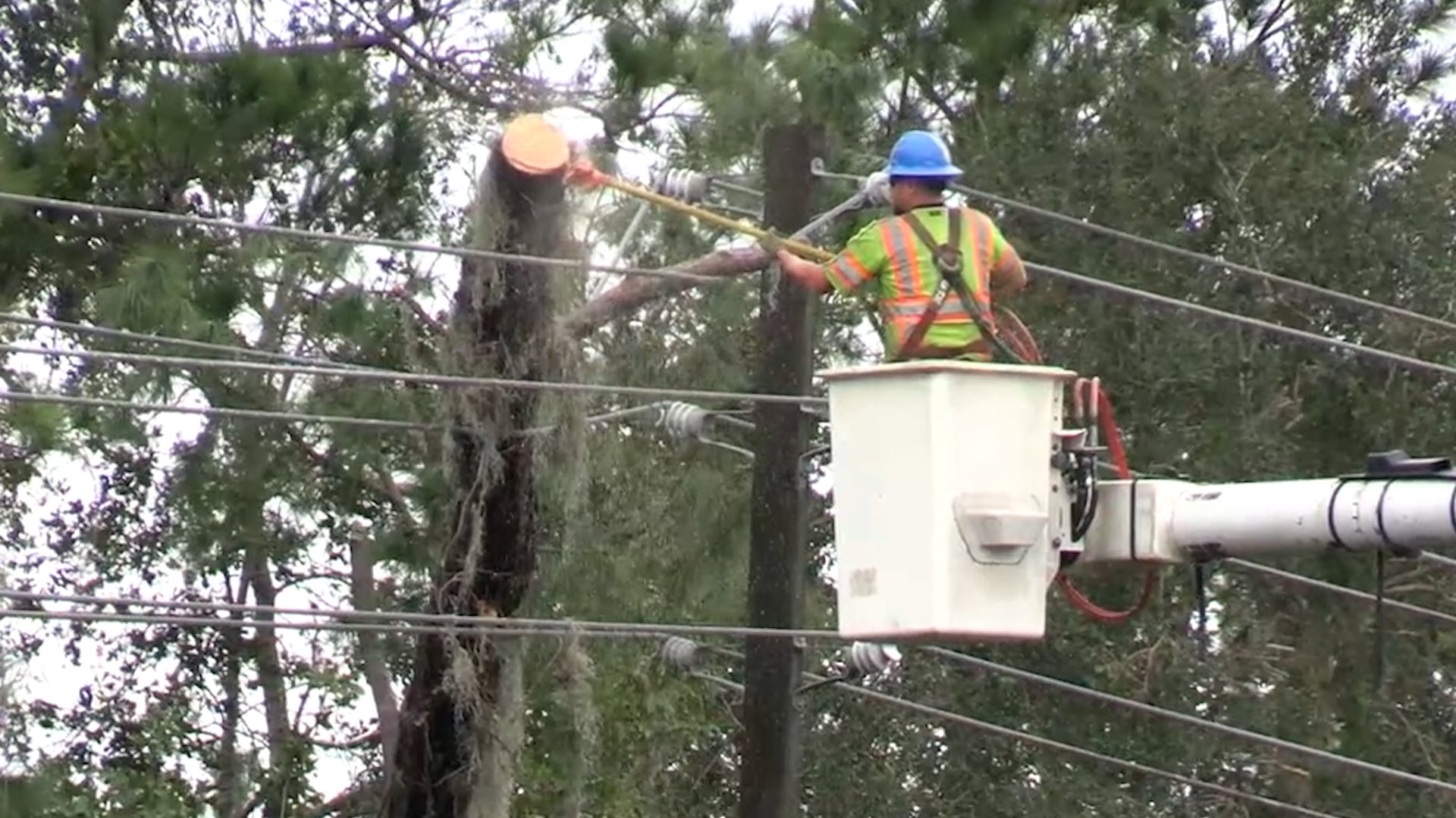 Crews Cut Trees From Power Lines Near Tampa After Milton