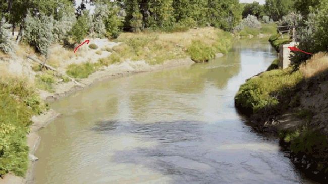Hands ejaculation flood .gif - visualfopt