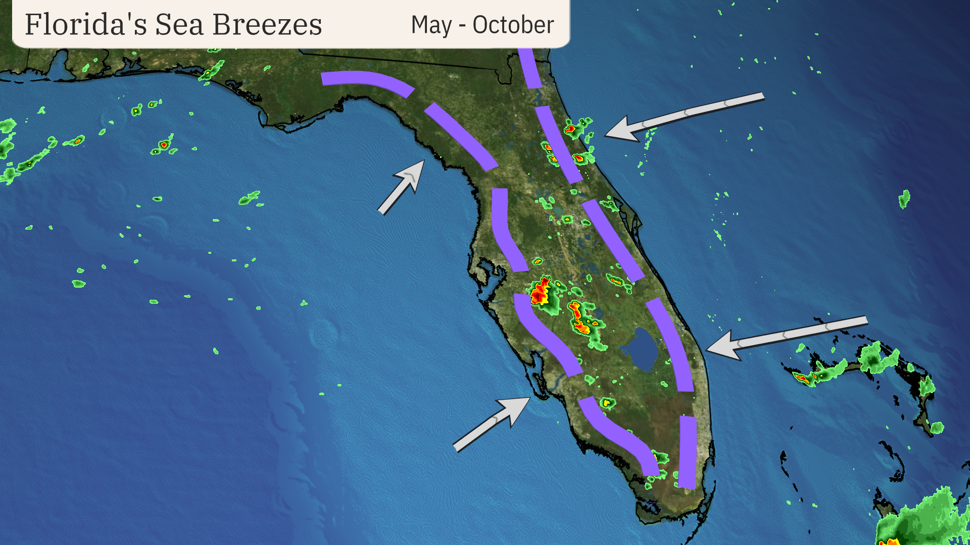 florida_rainy_season_sea_breeze.png