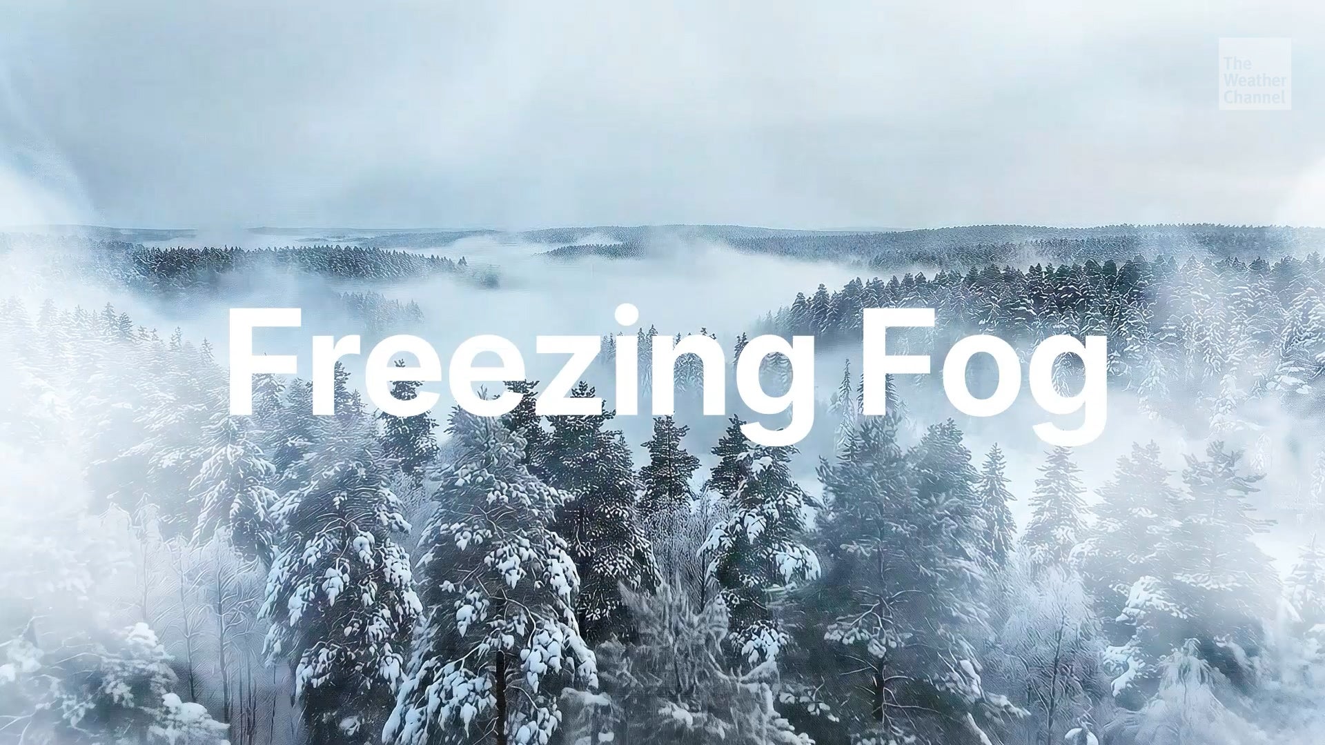 Freezing Fog: What Is It And How Can It Impact You?