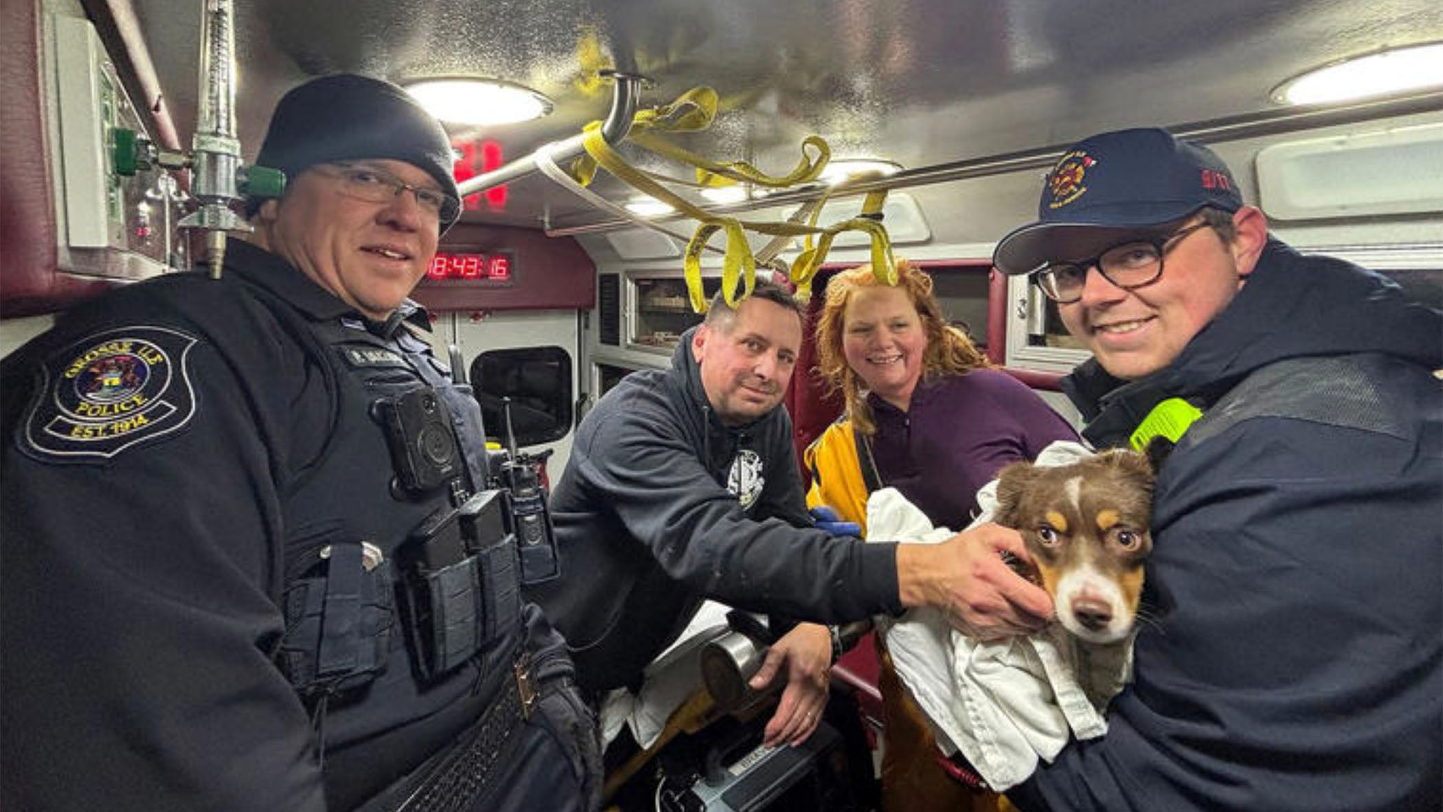 puppy rescued from the ice