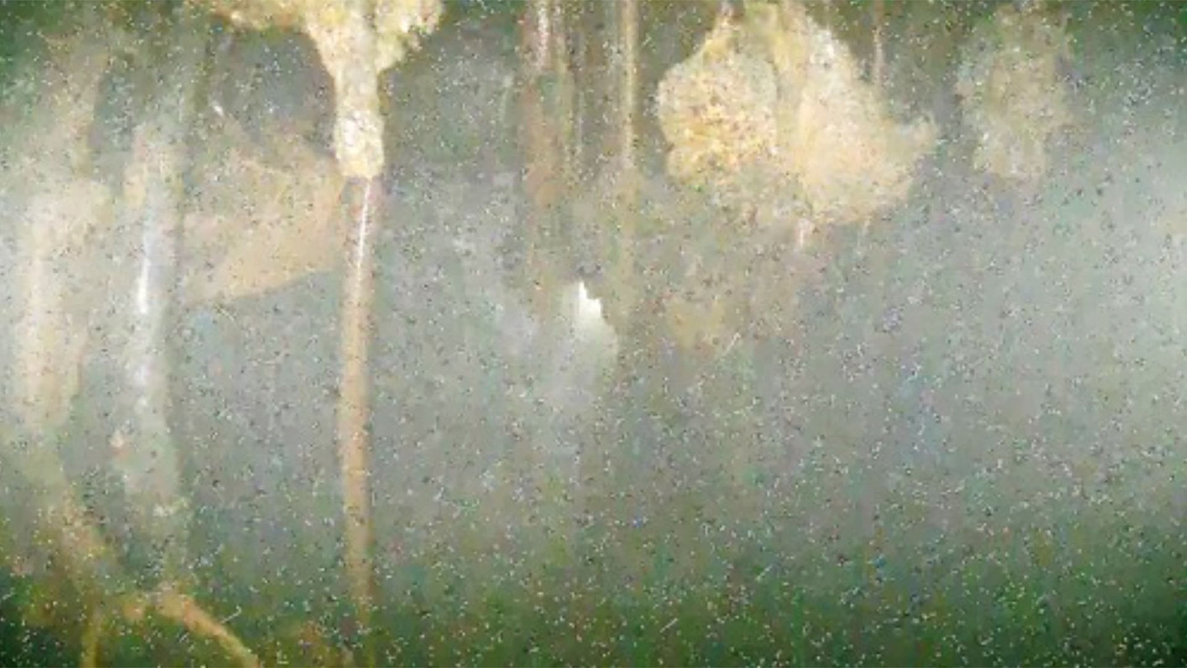 fukushima_one.jpg