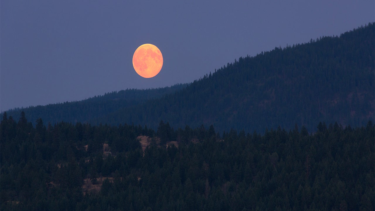 Lunar Eclipse, Supermoon, Blue Moon Coincide Wednesday; Here's When and How to See It