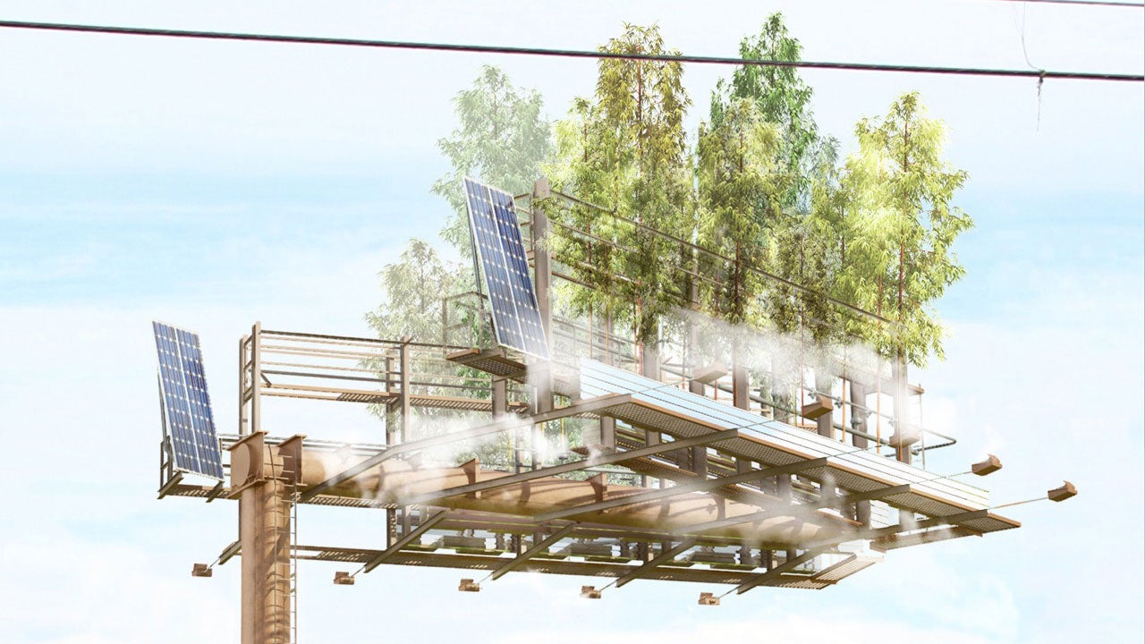 Incredible Gardens Growing in Unexpected Places