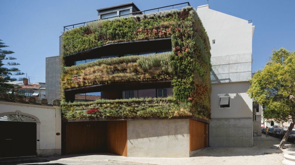 The Vertical Garden
