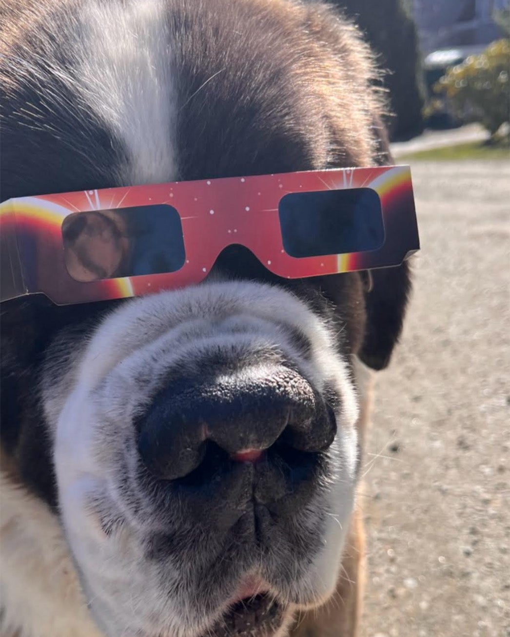 Weather Buddies 'Geronimo'